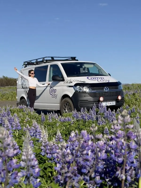 Camp Easy van in a lupine field in Iceland